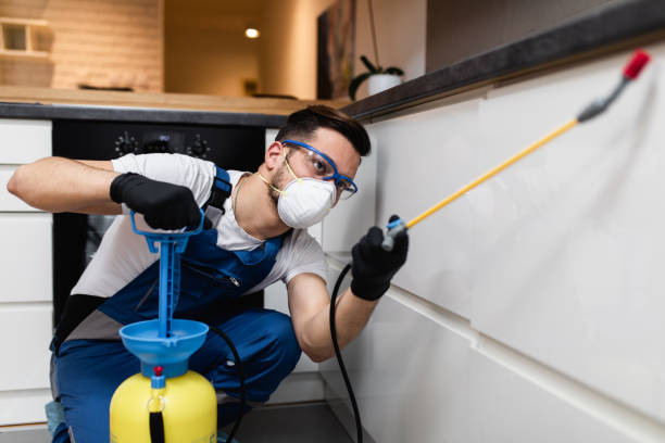 Best Affordable Pest Control Services  in Twain Harte, CA