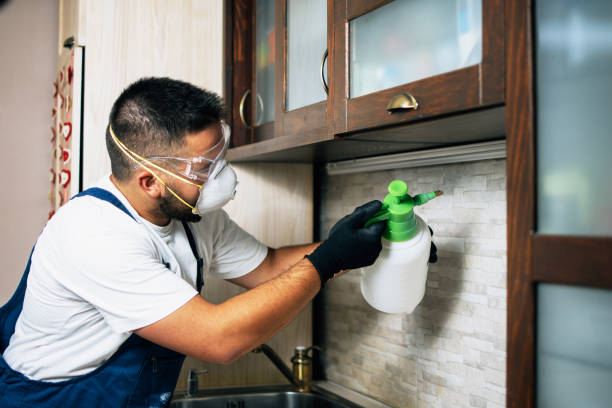 Trusted Twain Harte, CA Pest Control Experts