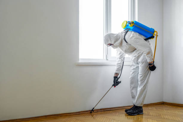 Best Wildlife Control Services  in Twain Harte, CA