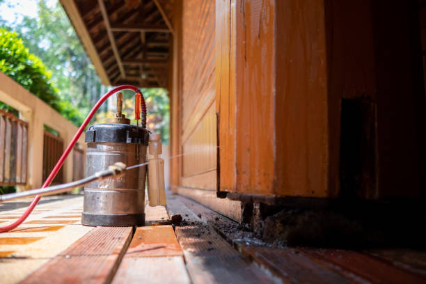 Best Best Pest Control Companies  in Twain Harte, CA