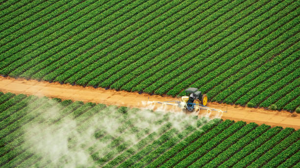 Best Commercial Pest Control Services  in Twain Harte, CA