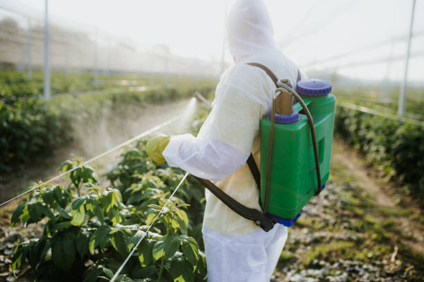 Best Affordable Pest Control Services  in Twain Harte, CA